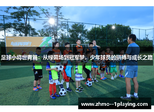 足球小将世青篇：从绿茵场到冠军梦，少年球员的拼搏与成长之路