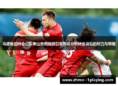 马德鲁加转会山东泰山费用揭晓引发热议分析转会背后的财力与策略 马德鲁加转会山东泰山费用揭晓引发热议分析转会背后的财力与策略