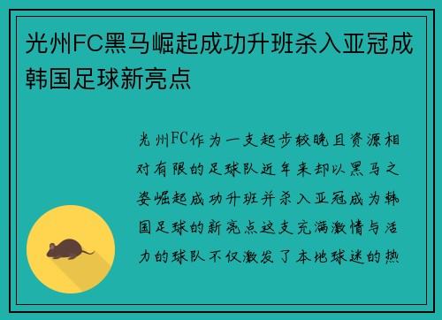光州FC黑马崛起成功升班杀入亚冠成韩国足球新亮点